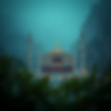 Magnificent 비트바이낸스의 모든 것 Magnificent 비트바이낸스의 모든 것