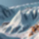 Visual representation of Avalanche architecture