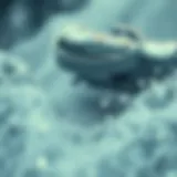 바이낸스 비트코인: 거래 플랫폼 분석 및 활용 전략 Introduction