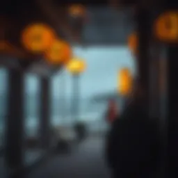 바이낸스 수익 전략의 심층 분석 Introduction