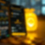 User-friendly interface of Binance application