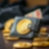 Exploring Different Types of Bitcoin Wallets Visual representation of various Bitcoin wallet types