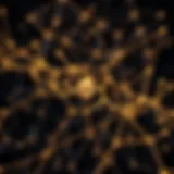 Conceptual representation of a decentralized neural network.