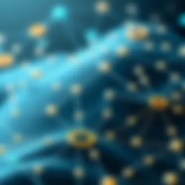 Structure of a Blockchain Network Infographic showing the structure of a blockchain network