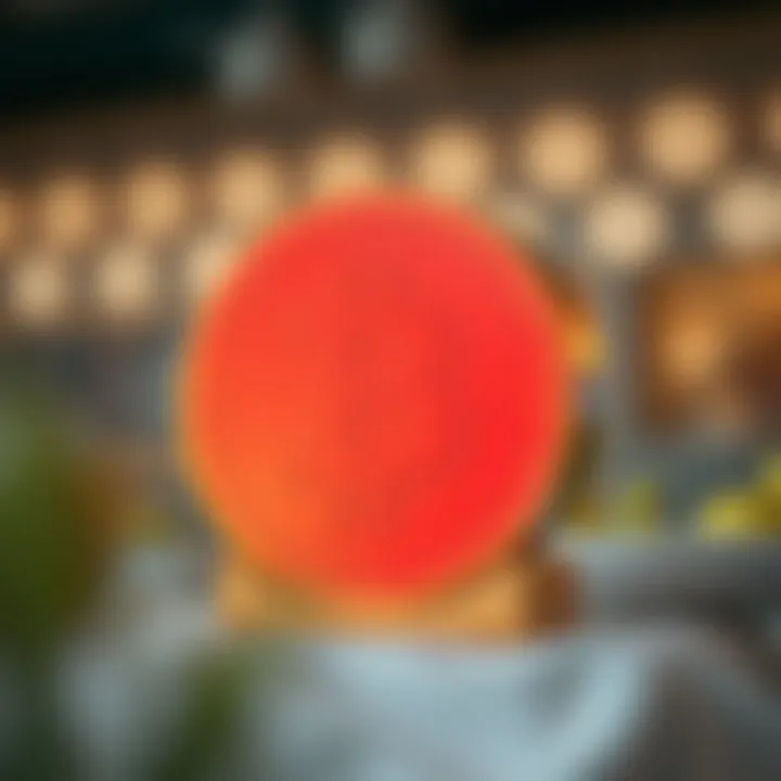 Visual representation of BNB Explorer's features and functionalities