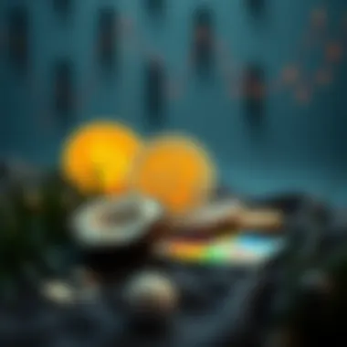 Future outlook on cryptocurrency investments with Coconutswap