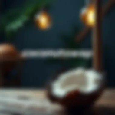 Visual representation of the Coconutswap platform features