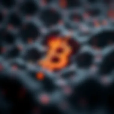 Applications of byte and hex in cryptocurrency