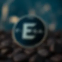 FNSA coin logo and branding