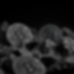 Impact of Grayscale on Cryptocurrency Investment