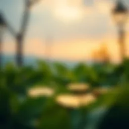 이더 지갑: 필수 이해와 활용 Introduction