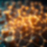 Conceptual representation of cryptocurrency networks