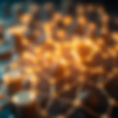 Conceptual representation of cryptocurrency networks