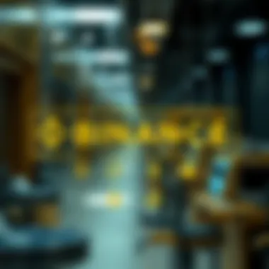 Visual representation of the Binance API architecture