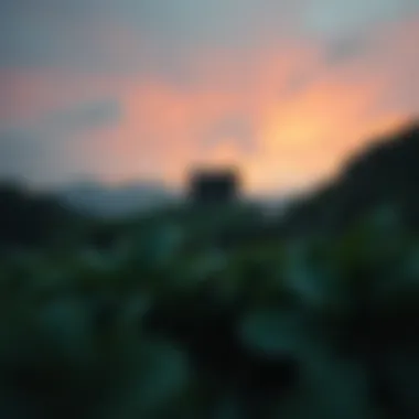 탐욕과 공포 지수의 이해 Introduction